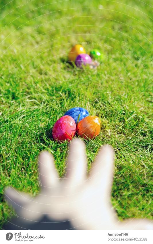 Easter eggs hidden in the grass, Colorful handmade painted Easter eggs hunt, Happy Easter Holiday concept in garden or park, easter spring holiday celebration