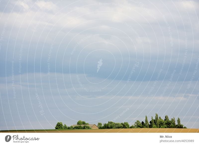 Life in the country Agriculture Arable land idyllically Sky Loneliness Horizon Field Farm Harvest Nature Rural Landscape Barn Clump of trees Clouds Storm clouds