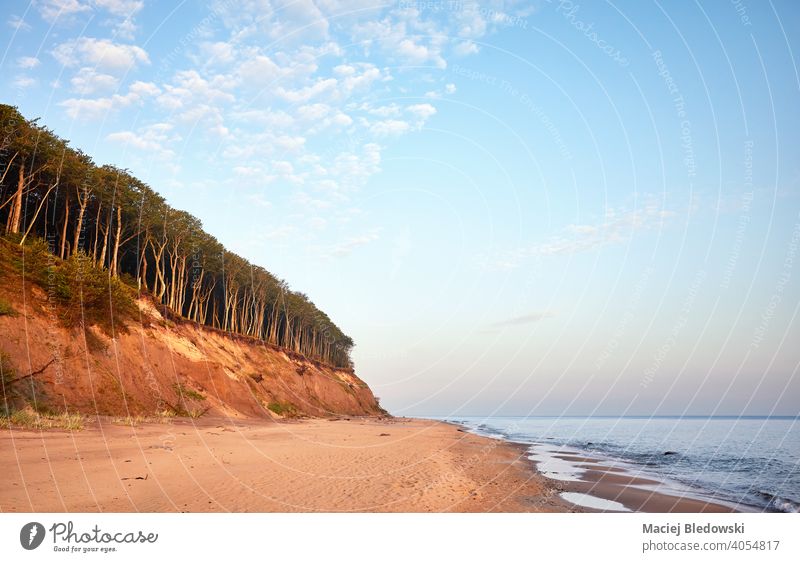 Empty beach with sand cliff at sunrise, Baltic Sea, Poland. sea beautiful nature empty Miedzyzdroje sky forest Europe horizon landscape natural sunset water