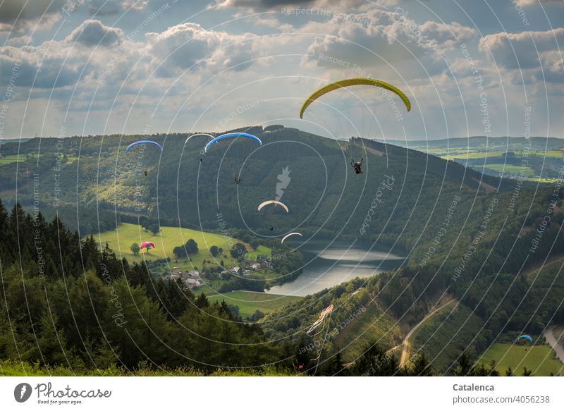 Fan out the paragliders Paragliders Paraglise Flying Sports Jump Tall Man Sky Water Reservoir Landscape Forest Meadow Horizon Nature Paragliding Clouds Day