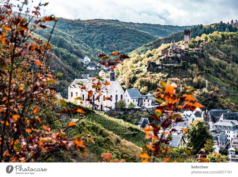 moselle stories Autumn leaves Seasons Autumnal beilstein Hunsrück Moselle valley Sunlight Mosel (wine-growing area) River bank Lanes & trails vine