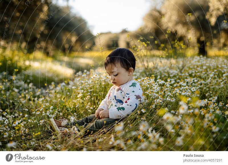 Child picking spring flowers Flower meadow Spring Spring fever Spring flower Daisy childhood 1 - 3 years Caucasian explore Cute Curiosity Human being