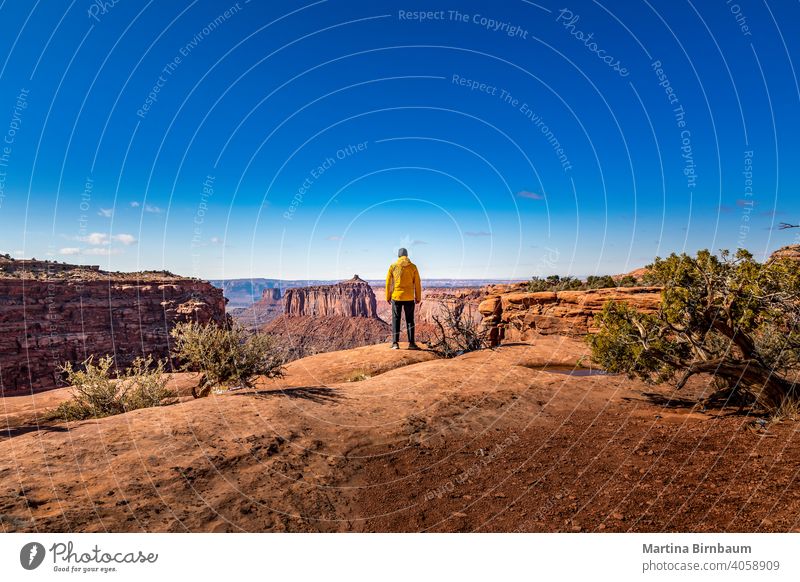 Male tourist standing at the rim at the Holeman Spring Canyon Overlook in the Island in the sky National Park, Utah utah canyonlands national park