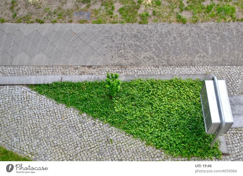 Neat window view. View from a window Apartment Building Front garden Mailbox letterbox system Green space Sidewalk Footpath Pavement Roadside Cobbled pathway