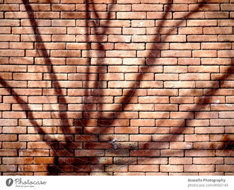 A brick wall background with a tree shadow. abstract art abstract object architecture backdrop bare tree black block brickwork brown cement concrete dirty ghost