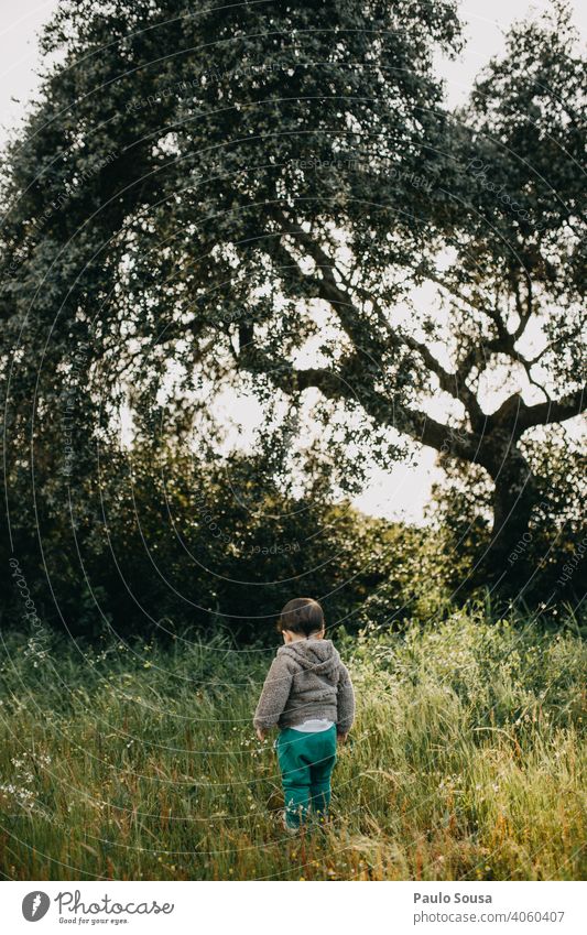 Rear view child on flower meadow Child 1 - 3 years Caucasian explore Boy (child) Nature Natural Authentic Meadow Exterior shot Human being Day Toddler Playing