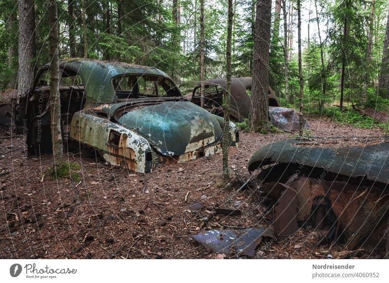 Deposited car wrecks in the forest near Båstnäs in Sweden Old Forest illicit Disposal Vintage car vintage Ancient Patina Trash Scrap metal Scrapyard waste