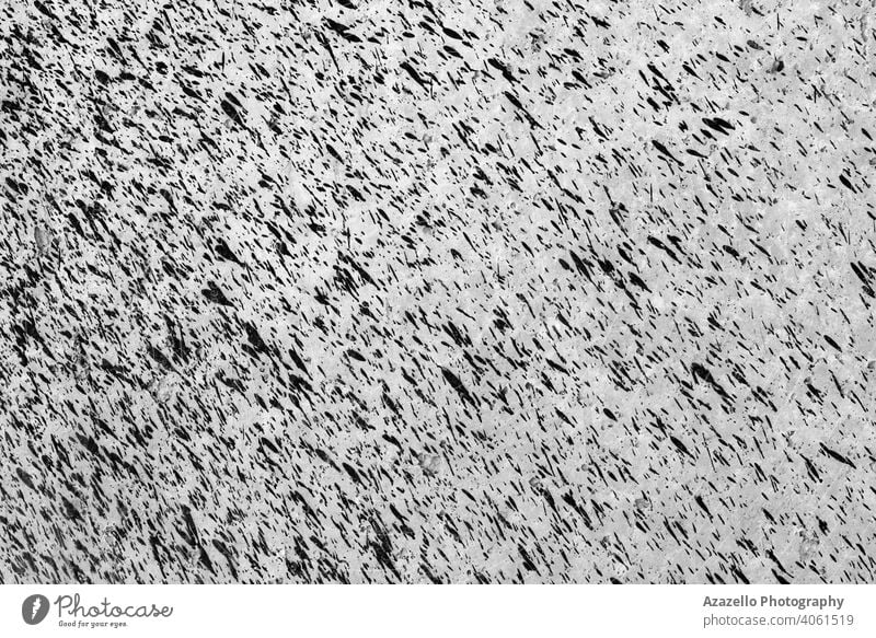 White wall with tiny black paint splashes. abstract aged architecture backdrop background black and white bubbles building cement closeup concrete construction