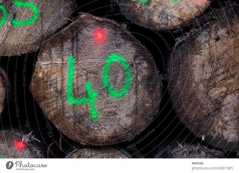 40 in bright green is written on a tree trunk, in addition two red dots shine on the wood Tree trunk Stack of wood Forestry Wood Logging Timber Environment