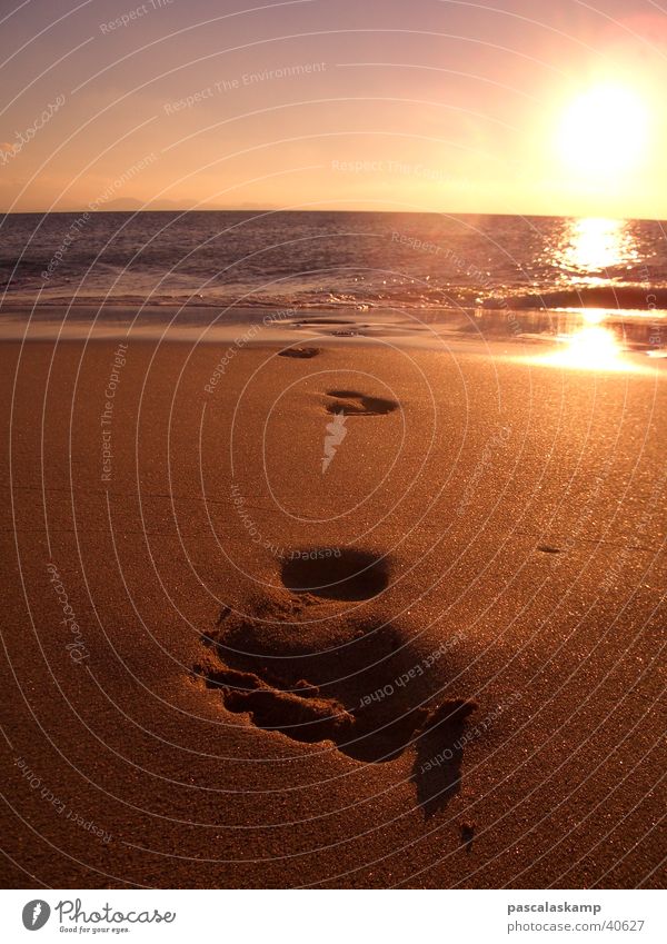 beachlife Beach Footprint Sunset Lanzarote Spain Europe Barefoot