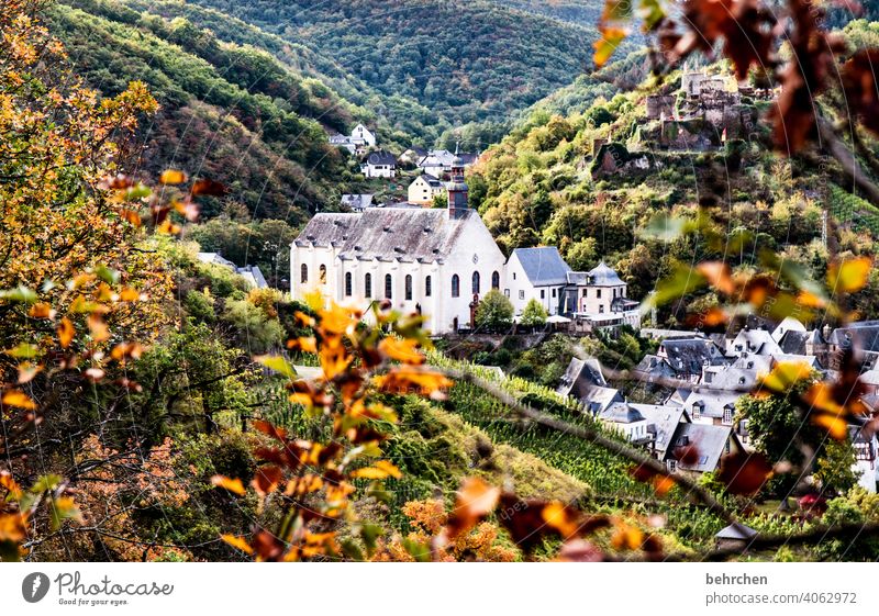 fairy tale mosel Tourist Attraction Church Ruin Castle Monastery Colour photo Exterior shot Landscape Nature Hiking Deserted Environment Forest