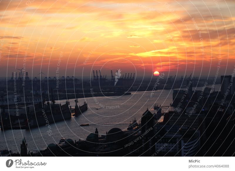 Hamburg harbour in the light of the sunset Port of Hamburg Skyline Harbour Sunset Exterior shot Port City Colour photo Town Elbe Navigation River Water