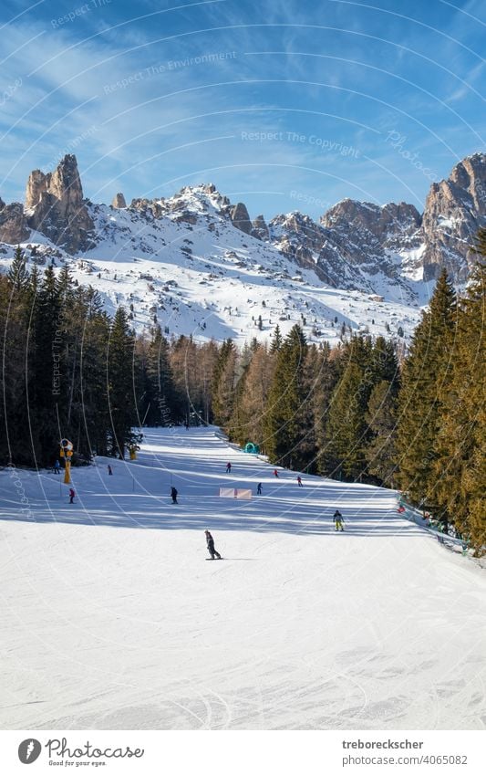 blue, red and black ski slopes in Vigo di Fassa, Italian Dolomites in South Tyrol with wonderful slopes and under a blue sky and in front of the typical rugged rock formations