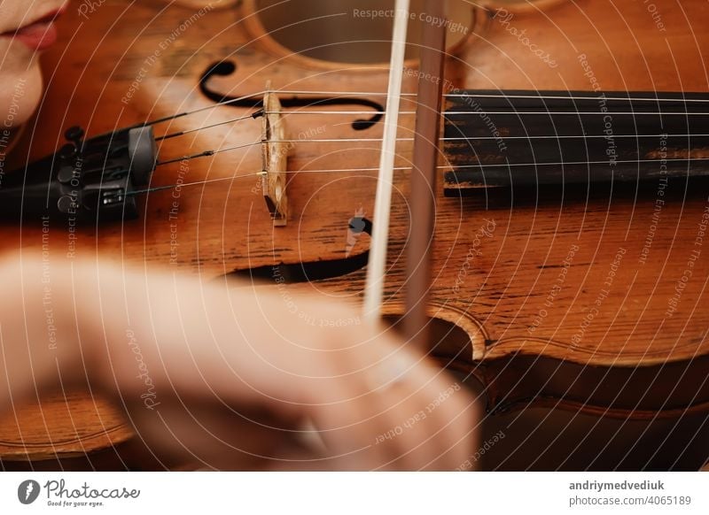 Close-up of a violin with a bow. Brown orchestra violin. Fingers on violin keyboard. music classic instrument string nails nature flowers beauty red people art
