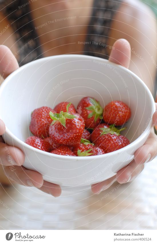 Have some... fruit..... Food Fruit Strawberry Nutrition Bowl Brown Green Pink Red Black White To enjoy Offer Fruity Juicy Proffer Refreshment Hand Summer