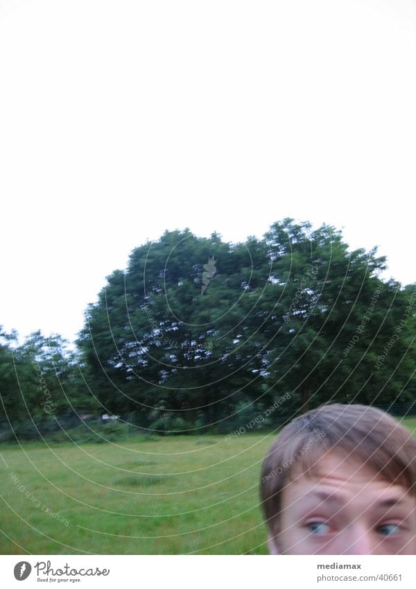 Fear in the park Amazed Blur Meadow Tree Human being Search Marvel Eyes Partially visible Boy (child)