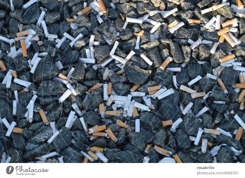Recommendation | stop smoking cigarettes tip Trash Environmental pollution Throw away Smoking Dispose of irresponsibly Garbage dump throwaway society