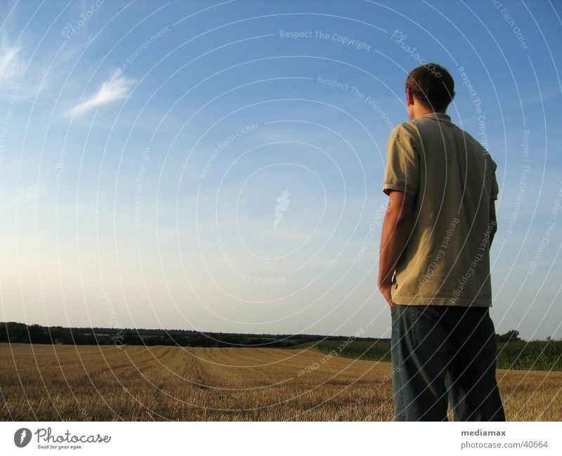 Looking ahead Rear view Man Field Dusk Hope Future Expectation Vantage point Relaxation Nature Sky objective Freedom