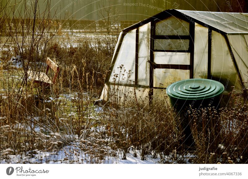 Greenhouse in winter sunlight ton Garden Winter Cold chill Sun Sunlight Snow Nature Frost Winter's day Exterior shot Bench Park bench Weed Packing film