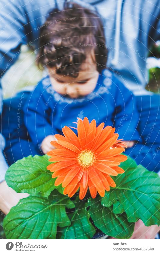 Little baby discovering a huge flower for first time spring happiness family family time dad father girl kid child toddler 9 month casual candid wear life