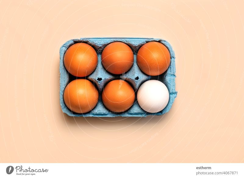 Top view of chicken eggs in an open blue cardboard box easter eggs fresh egg yolk eat container basket farming storage farmyard animal egg freshness agriculture
