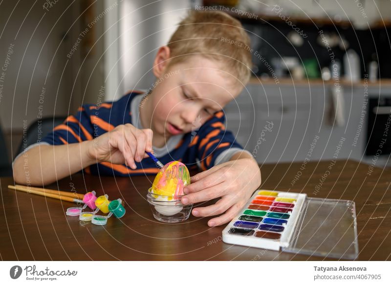 Boy coloring Easter egg easter child decoration dye painting home boy brush easter egg holiday spring indoor tradition fun childhood craft table art caucasian