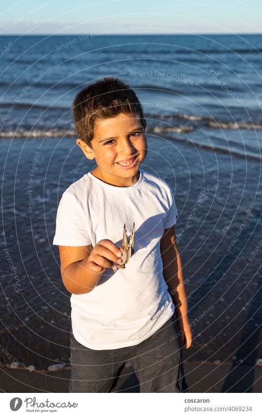 Funny kid showing a crab leg on the beach animal beautiful boy catch caucasian child claw coast coastline crustacean cute hand happy holding little nature ocean