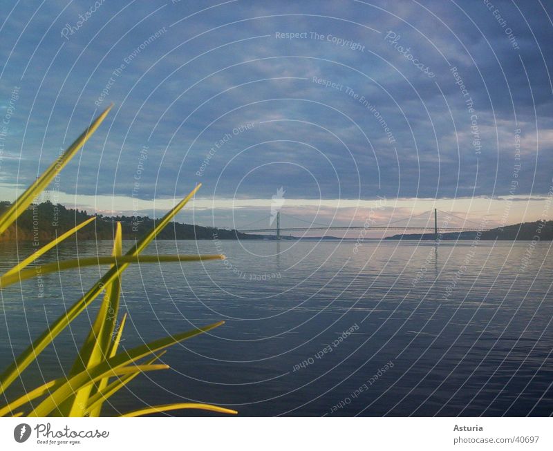 Narrows Bridge Americas Ocean Clouds Grass Long Column Relaxation Seattle Sky Waves Deep USA Washington DC Water brige Intersection Calm Peaceful tacoma sea