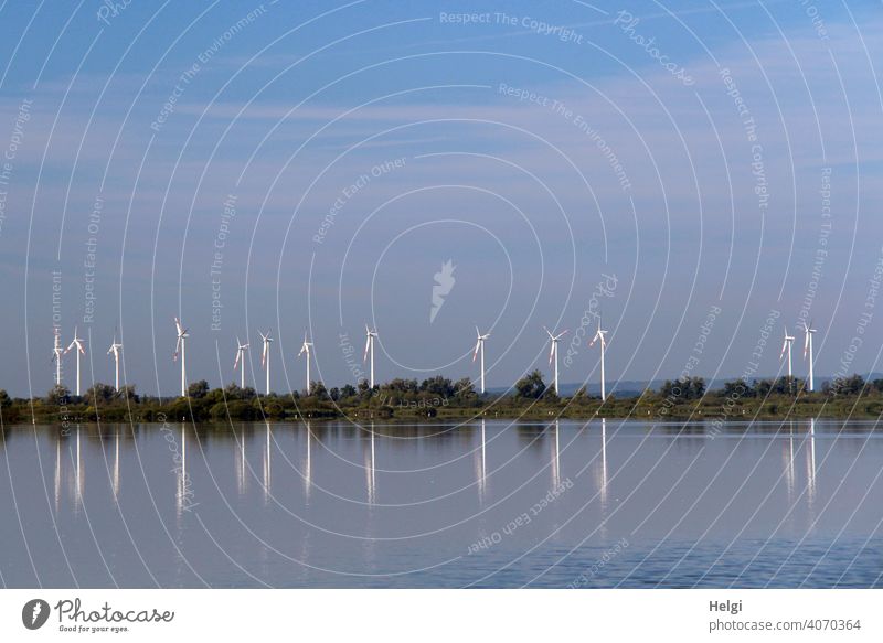 many wind turbines with reflection at the Dümmer lake Pinwheel Wind energy plant Many Energy Energy generation wind power co2 Water Lake Dümmer See Lakeside