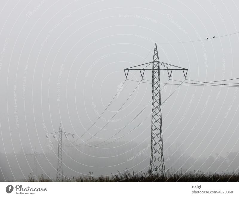 Power poles with power lines in the fog co2 Energy industry Electricity Electricity pylon Environment Exterior shot Technology Cable High voltage power line