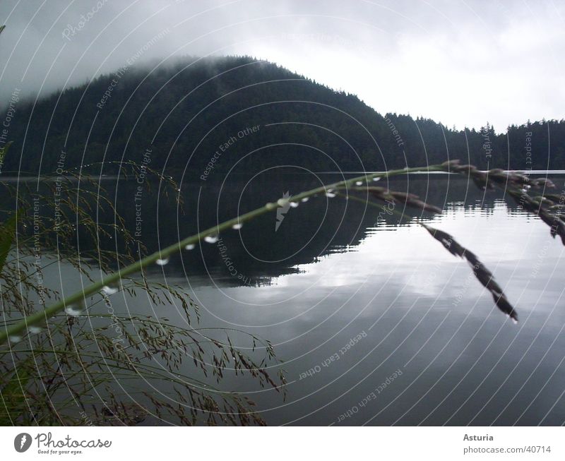 rain drops Rain Reflection Blade of grass Clouds Dark Fog Lake Grass Grief Drops of water Mountain Water Sadness Loneliness