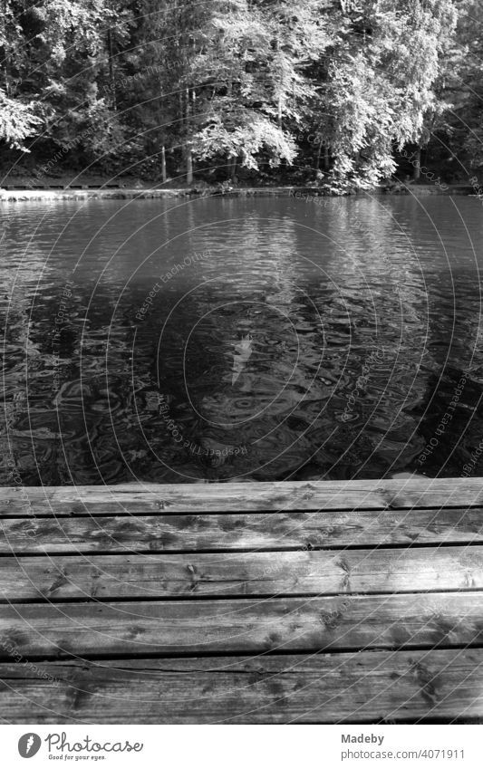 Wooden footbridge for bathers in summer sunshine at the Mittersee in Füssen in the Ostallgäu in the Free State of Bavaria, photographed in classic black and white
