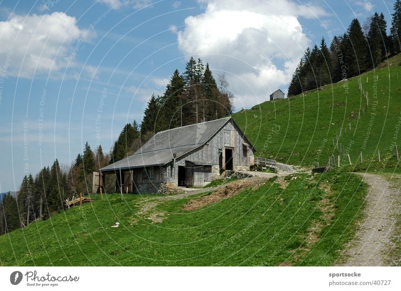 Alpine idyll Alpine pasture Summer's day Alpine hut Mountain Blue sky green meadow
