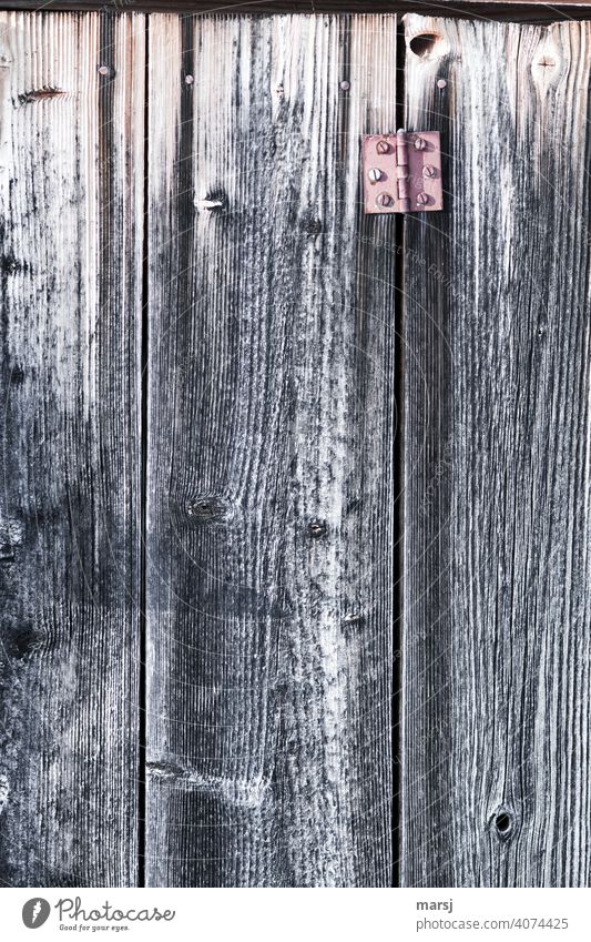 Old, red hinge on rustic, weathered board wall. Wooden wall Brown Colour photo Simple Wall (building) Weathered Close-up Structures and shapes naturally