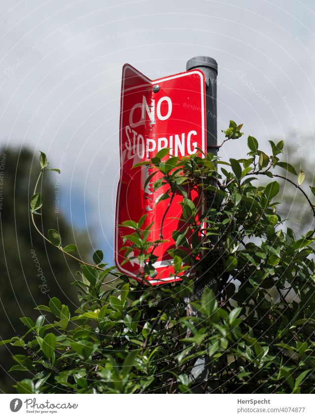 No stopping sign with climbing plant Road sign Signs and labeling Characters Road traffic Deserted Colour photo English Arrow Red signal red Stop Transport
