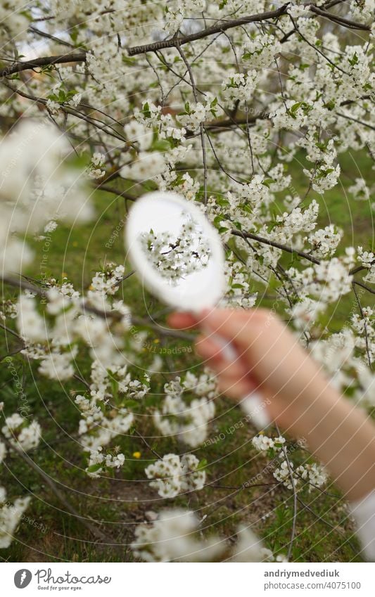 Outdoor close up of young female hand holding small retro mirror in blooming garden on spring day. Model looking in little mirror, posing in street, near flowering trees. Female fashion concept