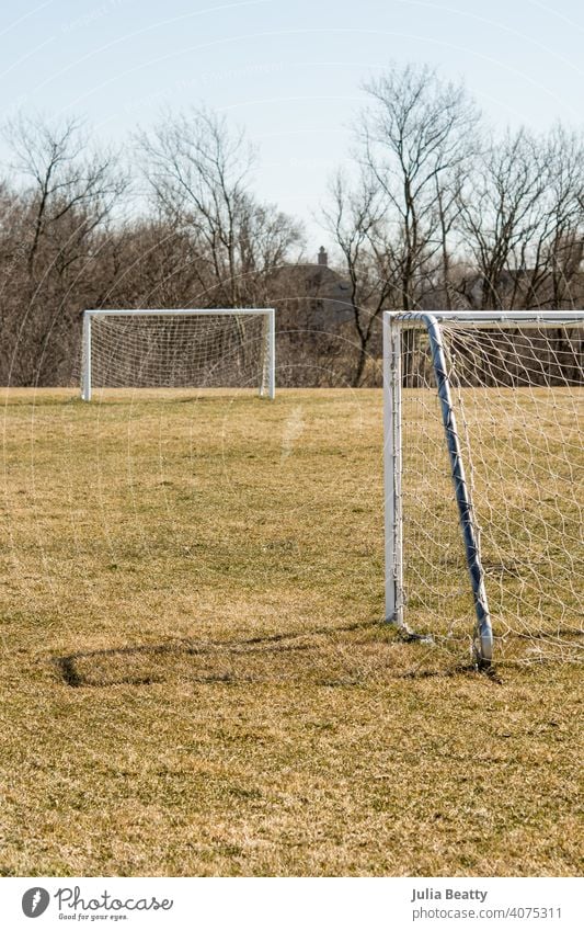 Sport equipment on green grass. Football, soccer, basketball