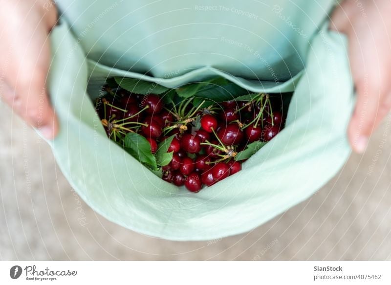 Young Woman Has Fresh Cherries On Her Apron A Royalty Free Stock Photo From Photocase