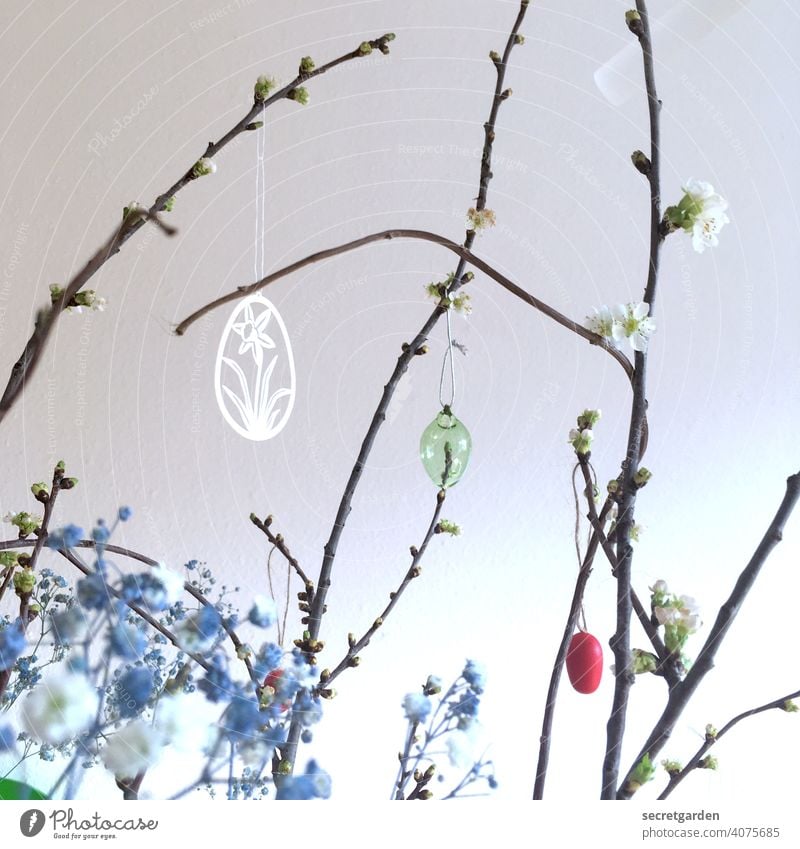 Cherry blossom branches with blue lurker herb and subtle Easter decoration Wall (building) White Easter bush easter jewellery Easter egg Colour photo