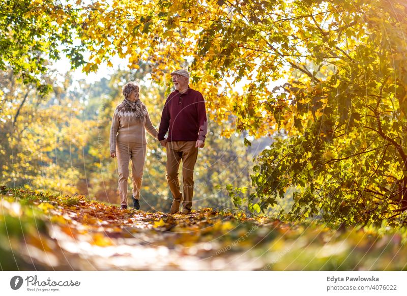 Senior couple enjoying autumn colors together senior love real people retired pensioner retirement aged grandmother grandparent grandfather day two togetherness