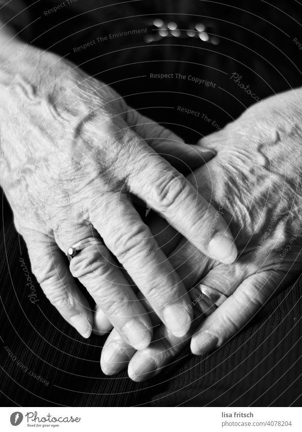 HANDS - FOLDS - RINGS - LIFE hands Black & white photo crease Human being Hand Woman Old Life Experience Adults Close-up Safety (feeling of) grandma Ring