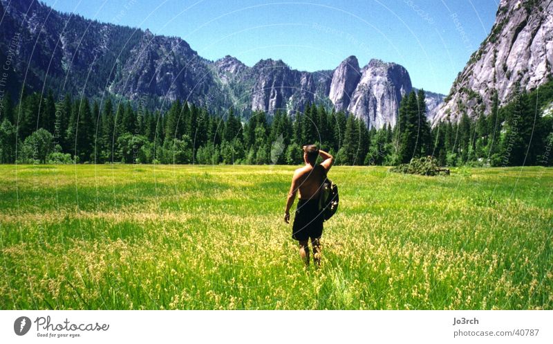 farsightedness Meadow Americas Vacation & Travel Hiking Mountain Yosemite Park USA