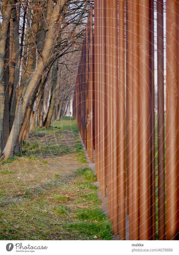 Trees and bars of the Berlin Wall Monument form a triangular alleyway rods Rod Metal Steel perpendicular Wall (barrier) The Wall poles iron rod Iron rod Rust
