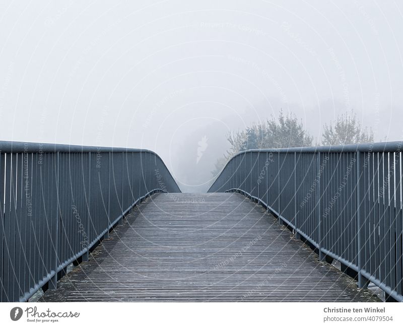 View over the slightly curved footbridge into trees, which are dimly visible in the dense fog pedestrian bridge Bridge Fog Lanes & trails Pedestrian crossing