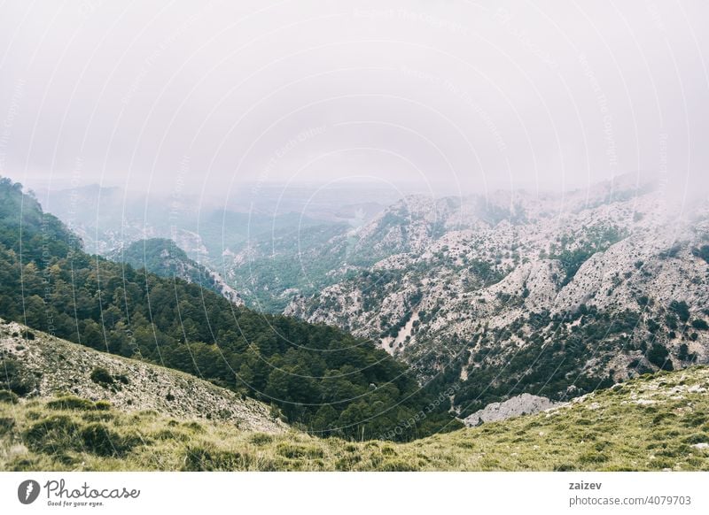 cloudy day with fog in the mountains of the natural park of the ports, in tarragona (spain) eroded layered canyon nature outdoors travel destinations descent