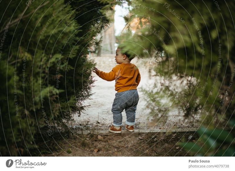 Child exploring the park childhood Caucasian Rear view 1 - 3 years Infancy Colour photo Toddler Human being Lifestyle Joy Playing Happiness Multicoloured Day