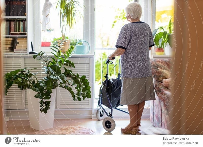 Rear view of a senior woman with walking frame at home balance disability rear view back standing mobility walker one person equipment leaning weakness pain