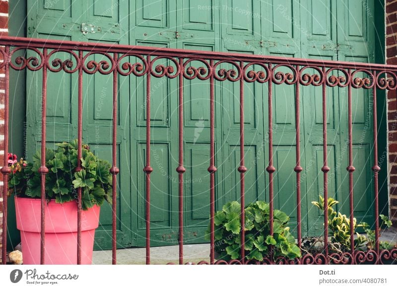 Balcony parapet Grating balustrade decoration Ornament shutters Geraniums Flowerpot Old building Green pink Exterior shot Wall (building) Facade