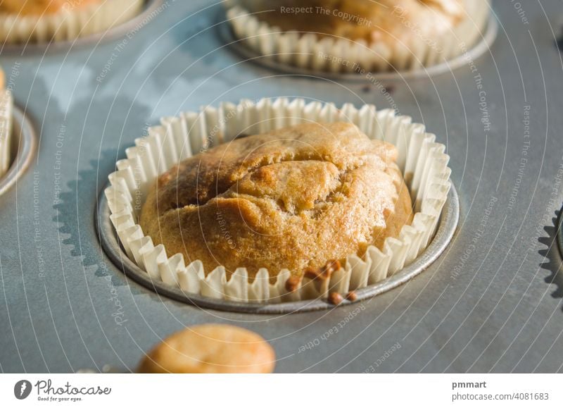 small vanilla and chocolate muffins illuminated by the morning light ready for breakfast treats pastries cream oven sunshine warm fragrant smoke dessert