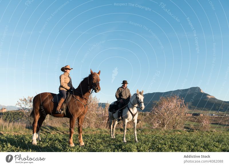 People on horses people riding high five ranch sunset sky evening man woman gesture sport horseback equestrian lifestyle leisure recreation domestic fun animal